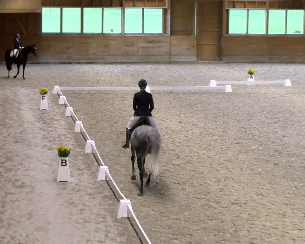 Reitturnier Rüti 2023