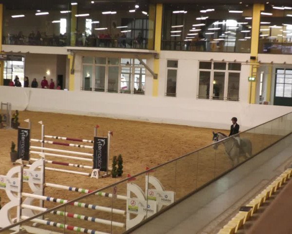 Springturnier Stadl Paura 2023