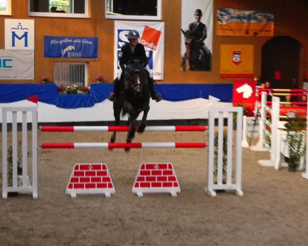 Reitturnier Gadebusch 2023