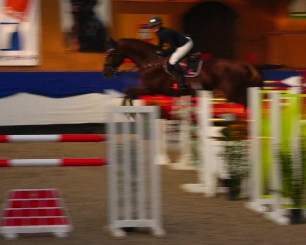 Reitturnier Gadebusch 2023