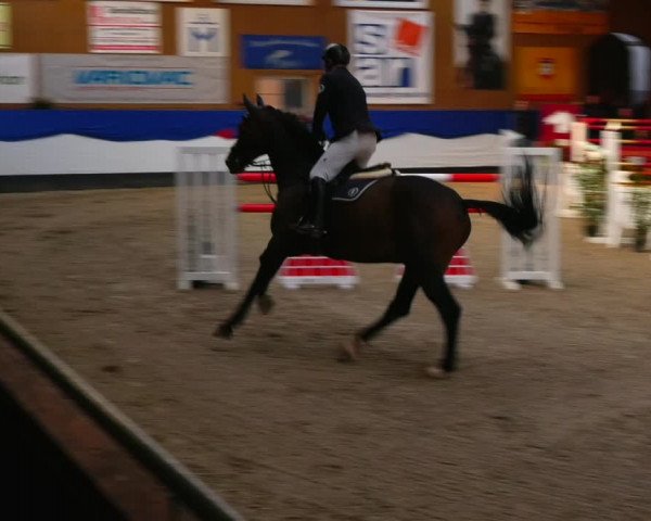 Reitturnier Gadebusch 2023