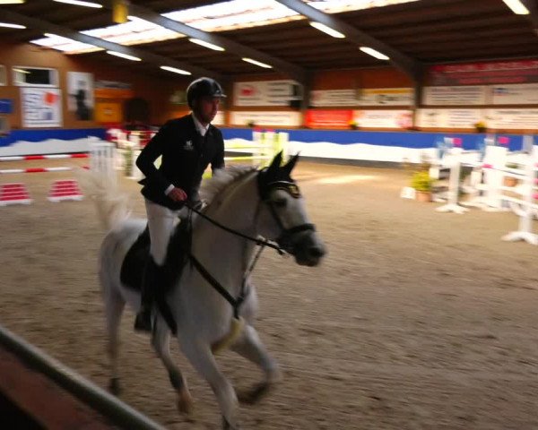 Reitturnier Gadebusch 2023