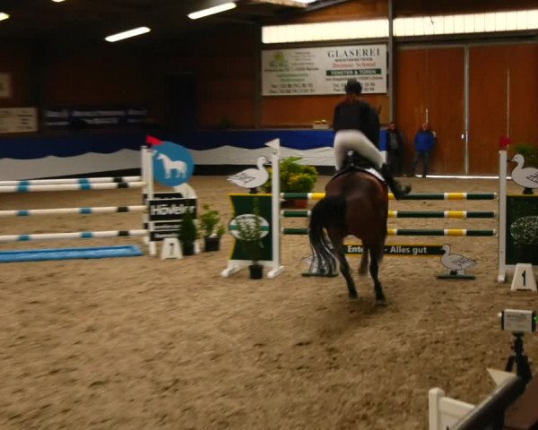 Reitturnier Gadebusch 2023