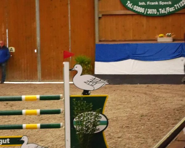 Reitturnier Gadebusch 2023