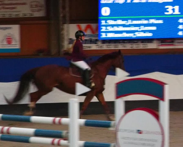 Reitturnier Gadebusch 2023