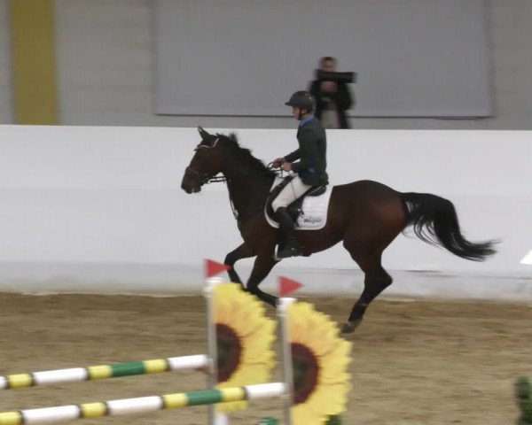 Springturnier Stadl Paura 2023