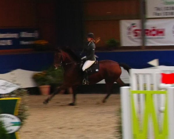 Reitturnier Gadebusch 2023