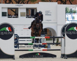 Springpferd Canterella van de Hogeborg Z (Zangersheide Reitpferd, 2014, von Canterbury)