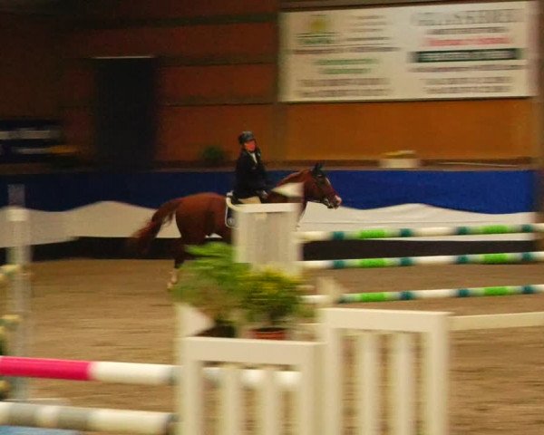 Reitturnier Gadebusch 2023