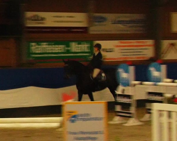 Reitturnier Gadebusch 2023