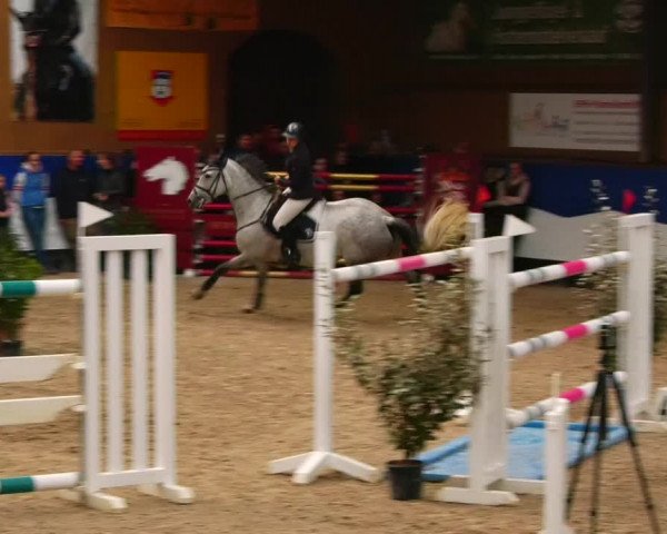 Reitturnier Gadebusch 2023