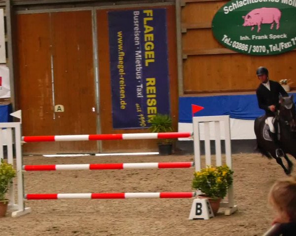 Reitturnier Gadebusch 2023