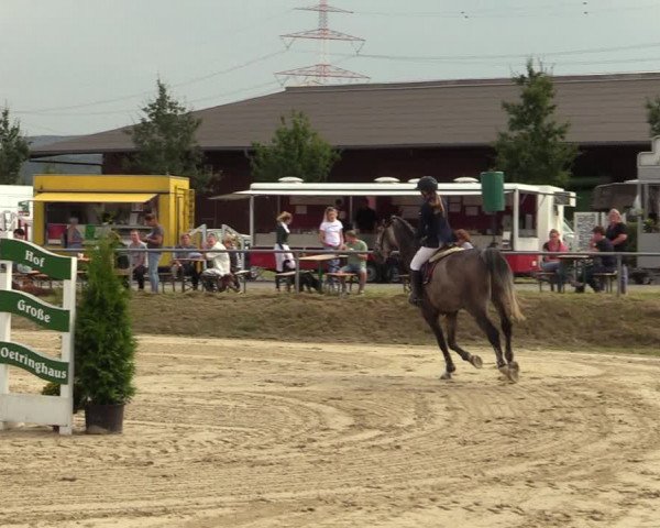 Reitturnier Dortmund-Barop 2021