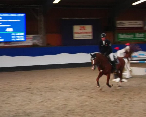Reitturnier Gadebusch 2023
