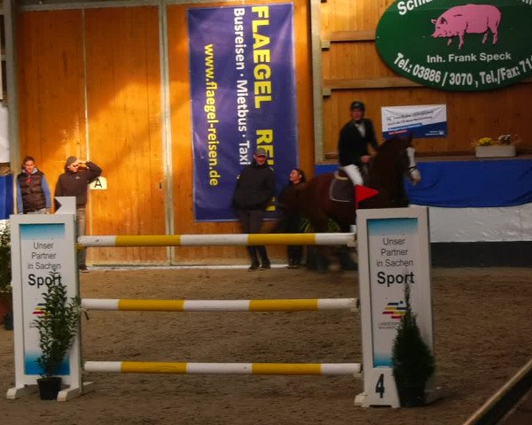 Reitturnier Gadebusch 2023