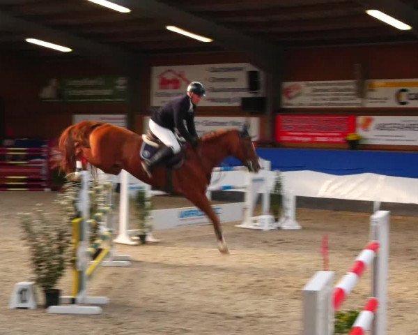 Reitturnier Gadebusch 2023