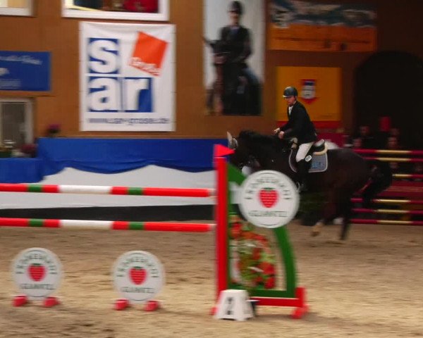 Reitturnier Gadebusch 2023