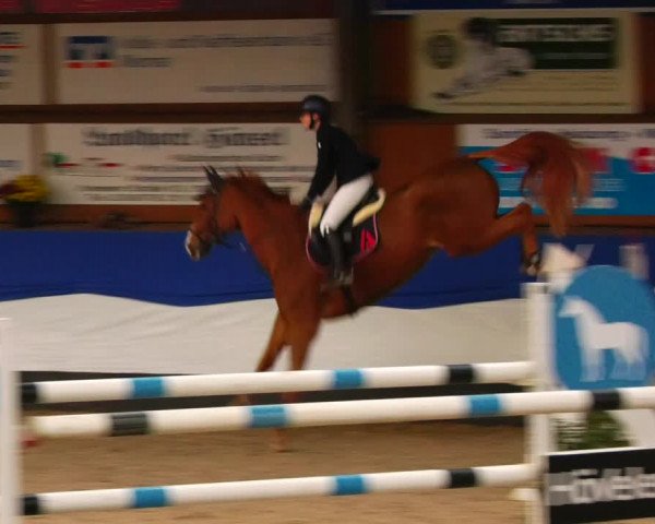Reitturnier Gadebusch 2023