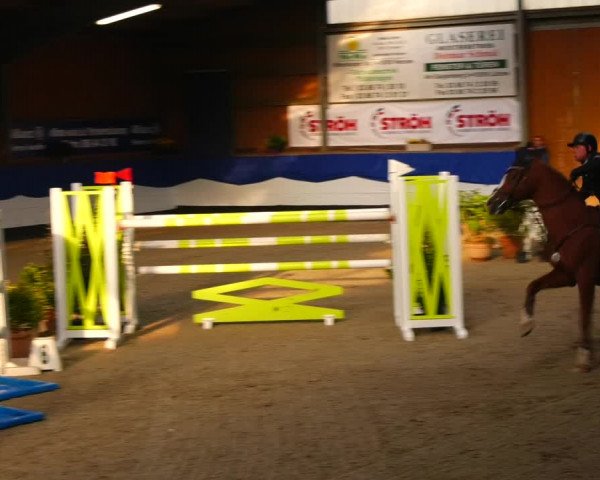 Reitturnier Gadebusch 2023