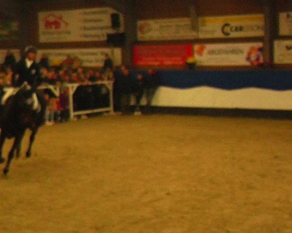 Reitturnier Gadebusch 2023