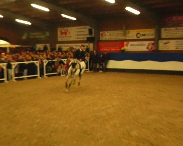 Reitturnier Gadebusch 2023