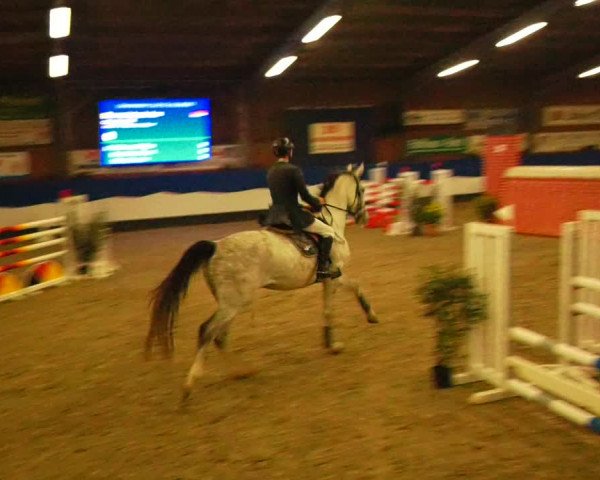 Reitturnier Gadebusch 2023