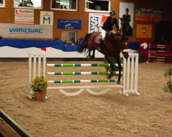 Reitturnier Gadebusch 2023