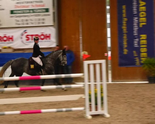 Reitturnier Gadebusch 2023