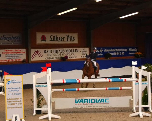 Reitturnier Gadebusch 2023