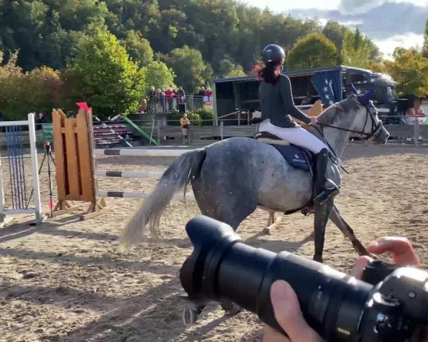 Reitturnier Waldshut-Tiengen 2023