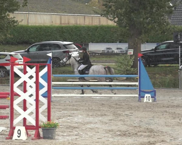 Reitturnier Handorf 2023