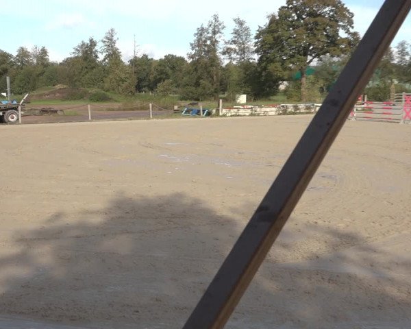 Reitturnier Handorf 2023