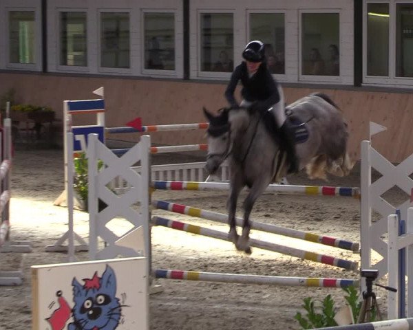 Reitturnier Salzkotten 2023