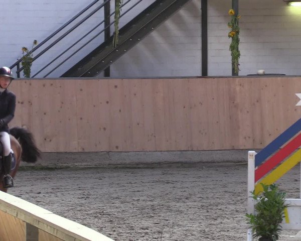 Reitturnier Salzkotten 2023
