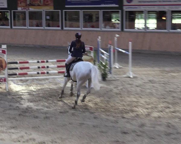 Reitturnier Salzkotten 2023
