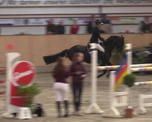 Reitturnier Salzkotten 2023