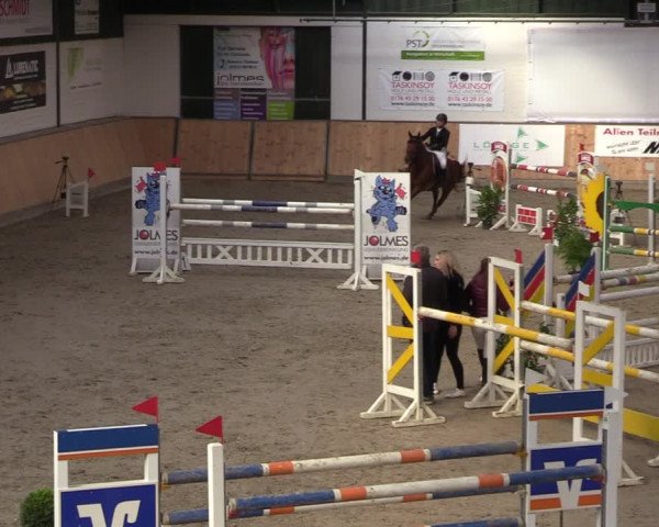 Reitturnier Salzkotten 2023