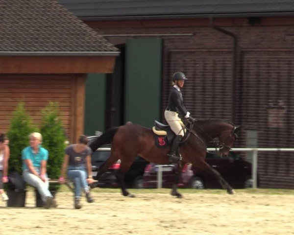 Reitturnier Dortmund-Barop 2021