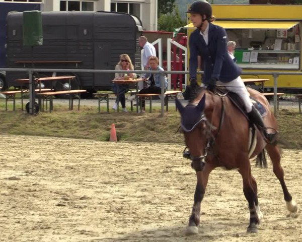 Reitturnier Dortmund-Barop 2021