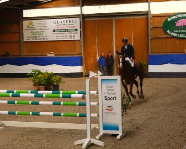 Reitturnier Gadebusch 2023