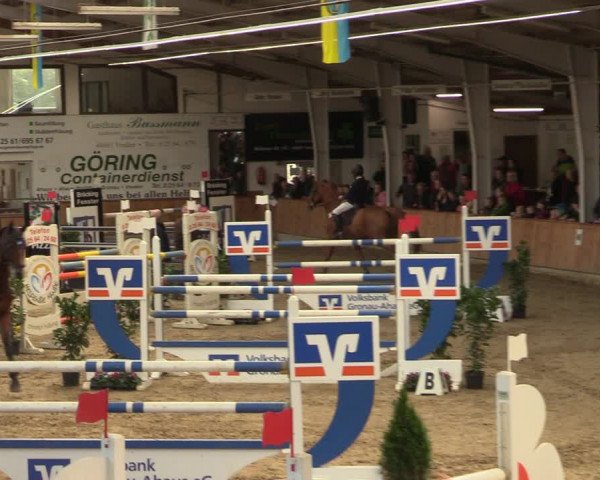 Reitturnier Vreden 2023