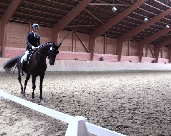 Reitturnier Dortmund-Barop 2021