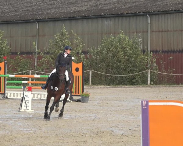Reitturnier Handorf 2023
