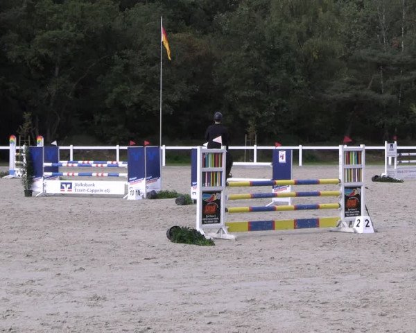 Reitturnier Essen - Herbstturnier 2023