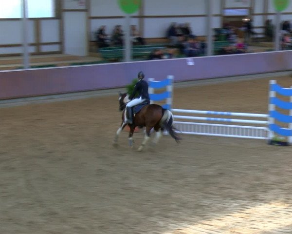 Reitturnier Gahlen 2023