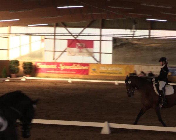 Reitturnier Pausin 2023