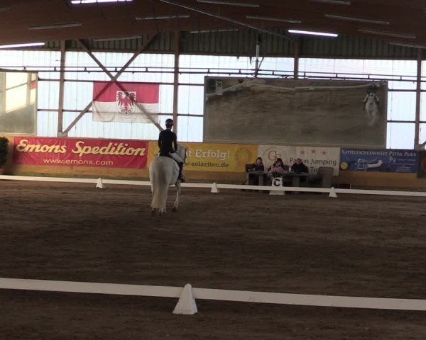 Reitturnier Pausin 2023