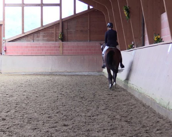 Reitturnier Dortmund-Barop 2021