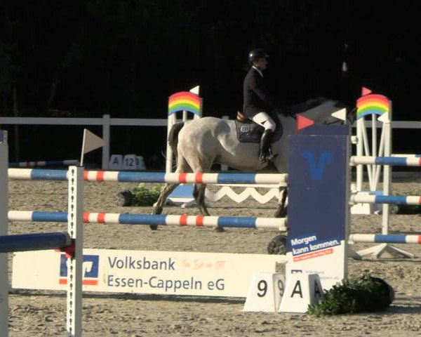 Reitturnier Essen - Herbstturnier 2023