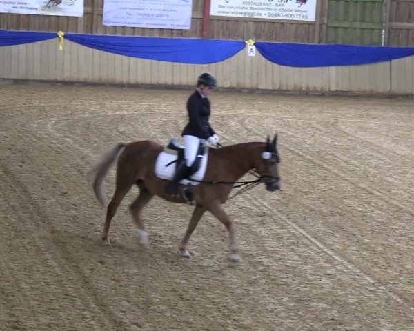 Reitturnier Villmar 2023
